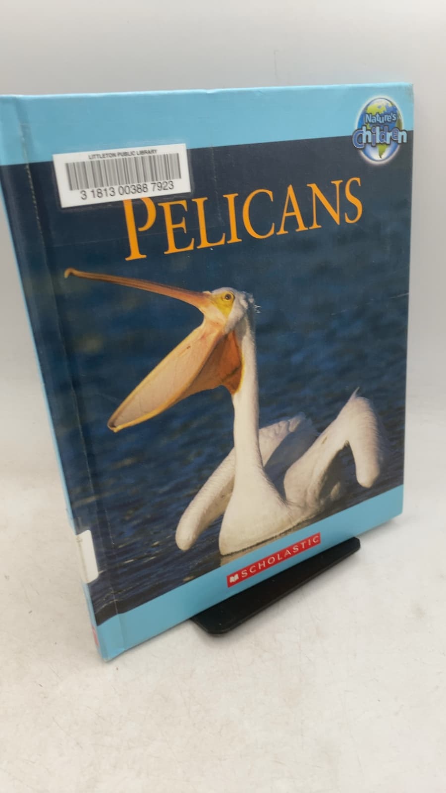 Pelicans by Tim Harris - front cover