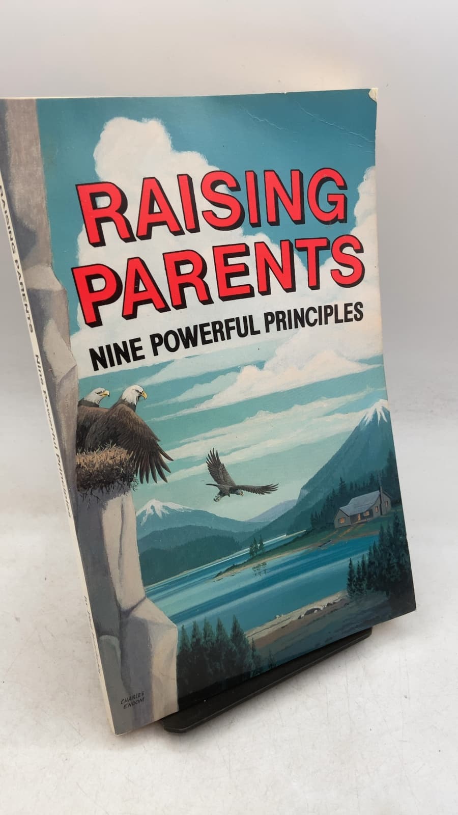 Raising Parents: Nine Powerful Principles by Phil Batchelor - front cover