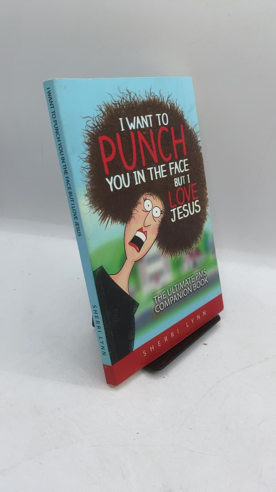 I Want to Punch You in the Face, But I Love Jesus: The Ultimate PMS Companion