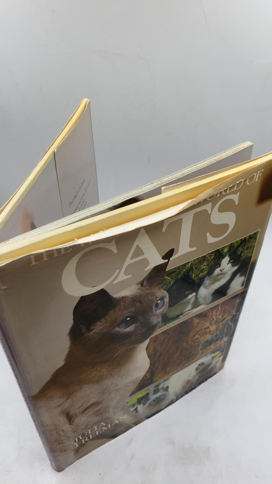 The Wonderful World of Cats by Julia Freeman - front cover
