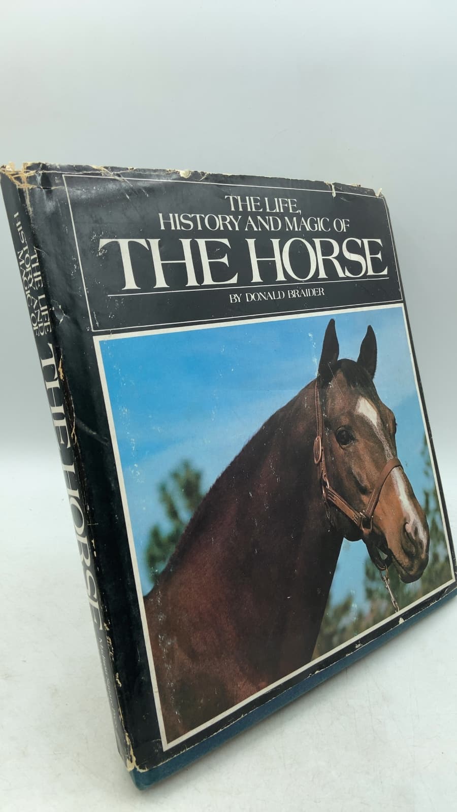 The Life, History and Magic of The Horse