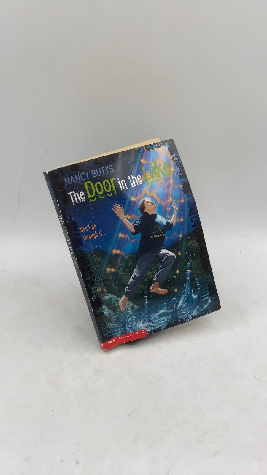 The Door in the Lake by Nancy Butts - front cover
