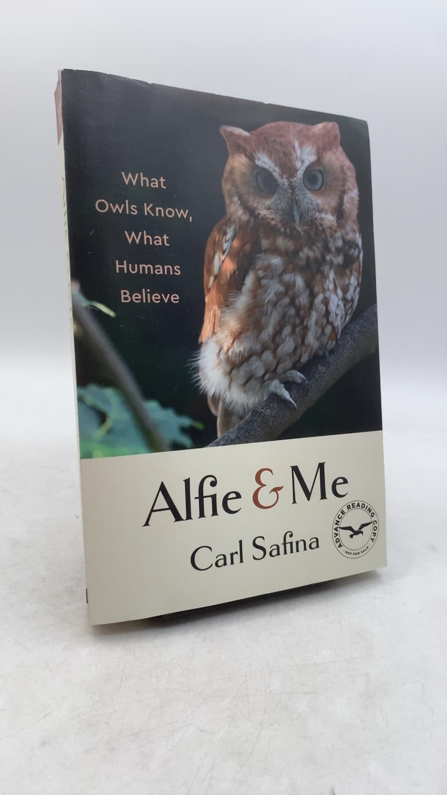 Alfie and Me: What Owls Know, and What People Believe