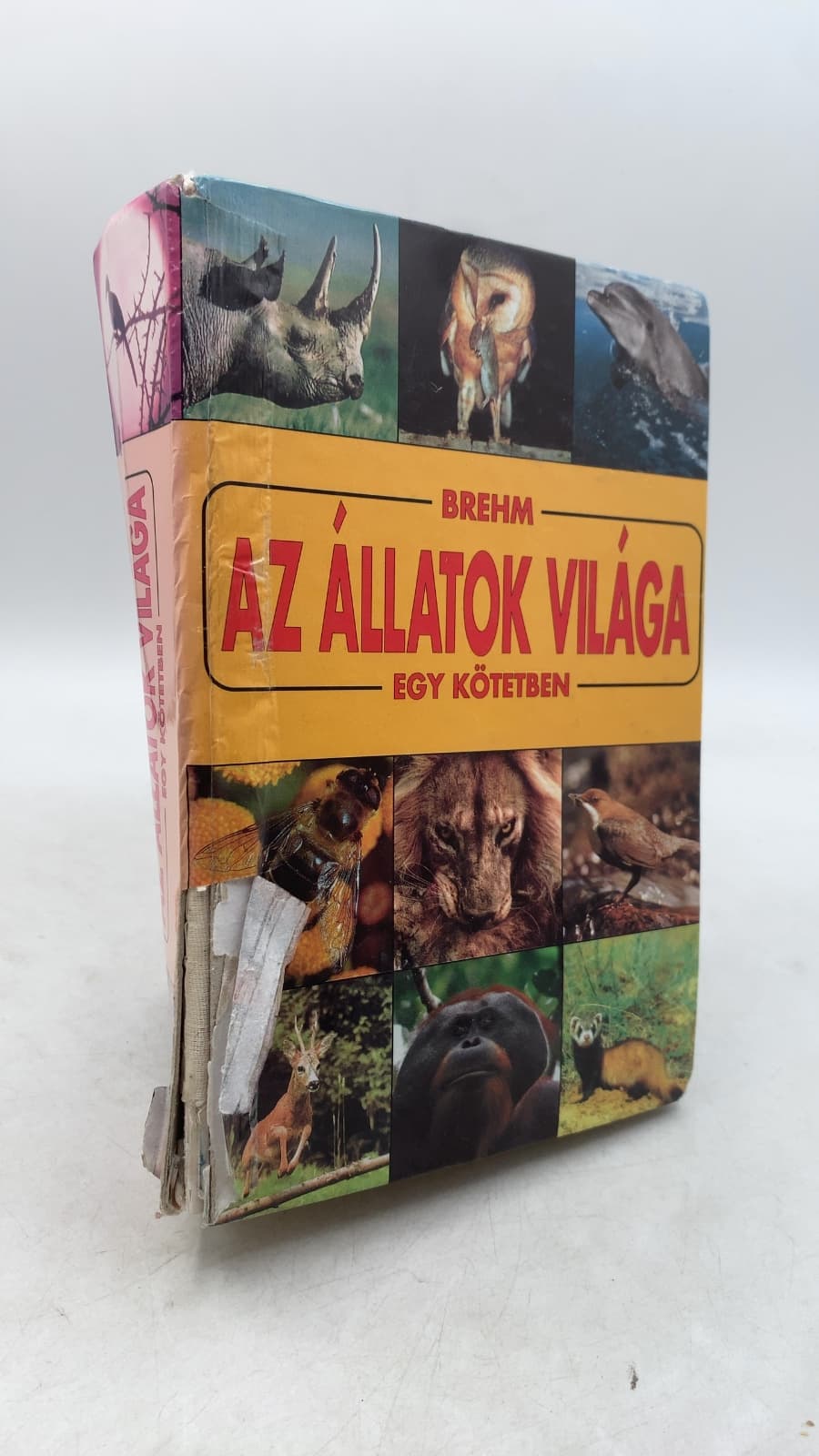 Az állatok világa egy kötetben by Brehm Alfréd - front cover