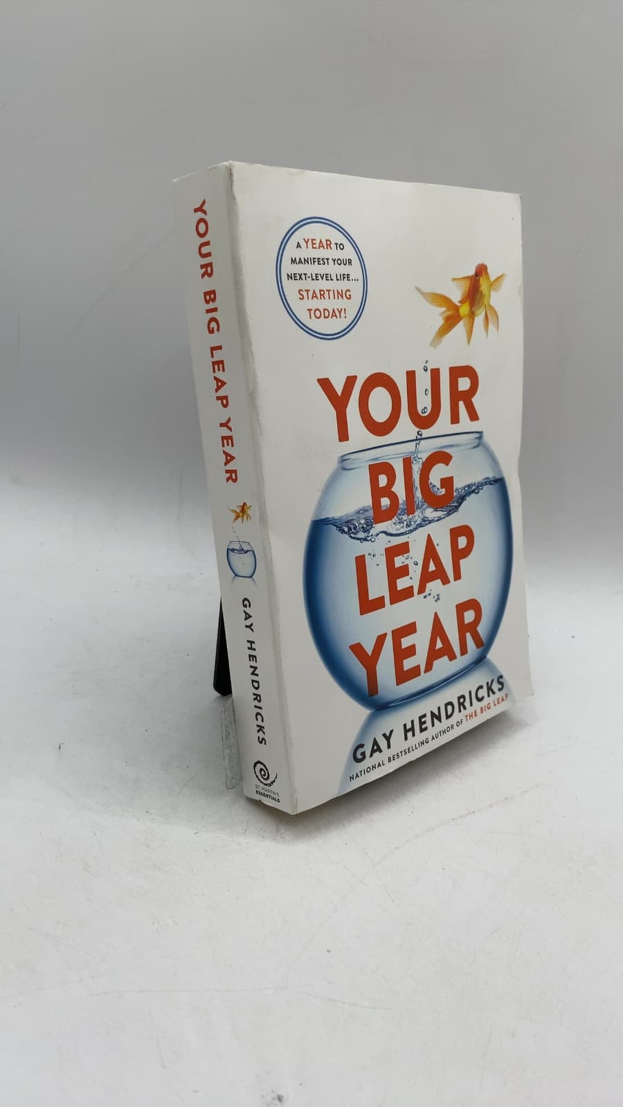 Your BIG Leap Year by Gay Hendricks - front cover