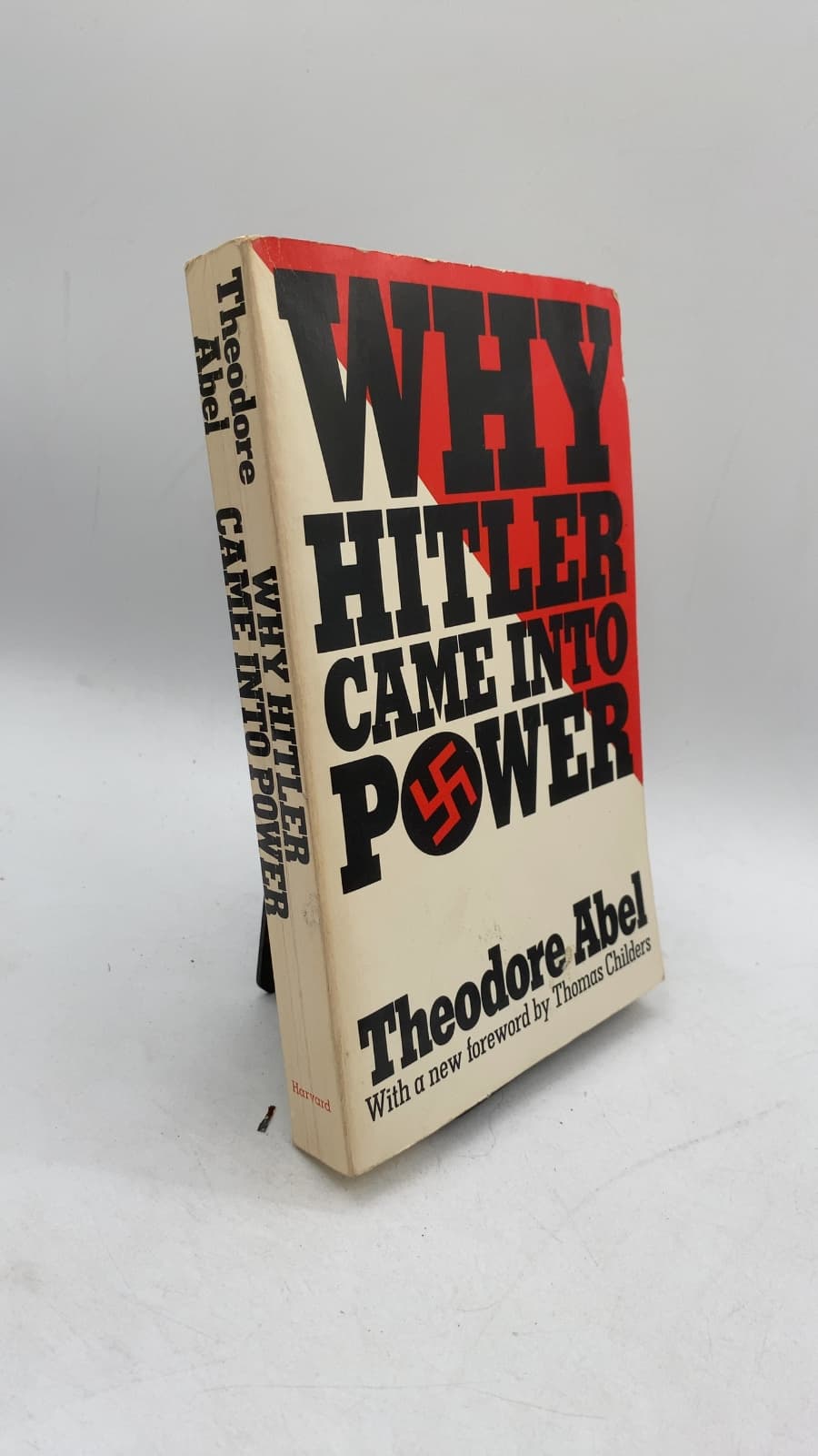 WHY Hitler Came Into Power