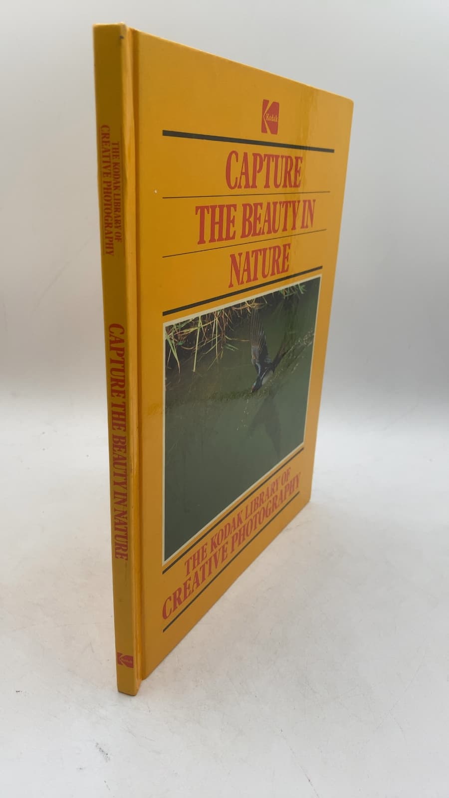 Capture the Beauty in Nature