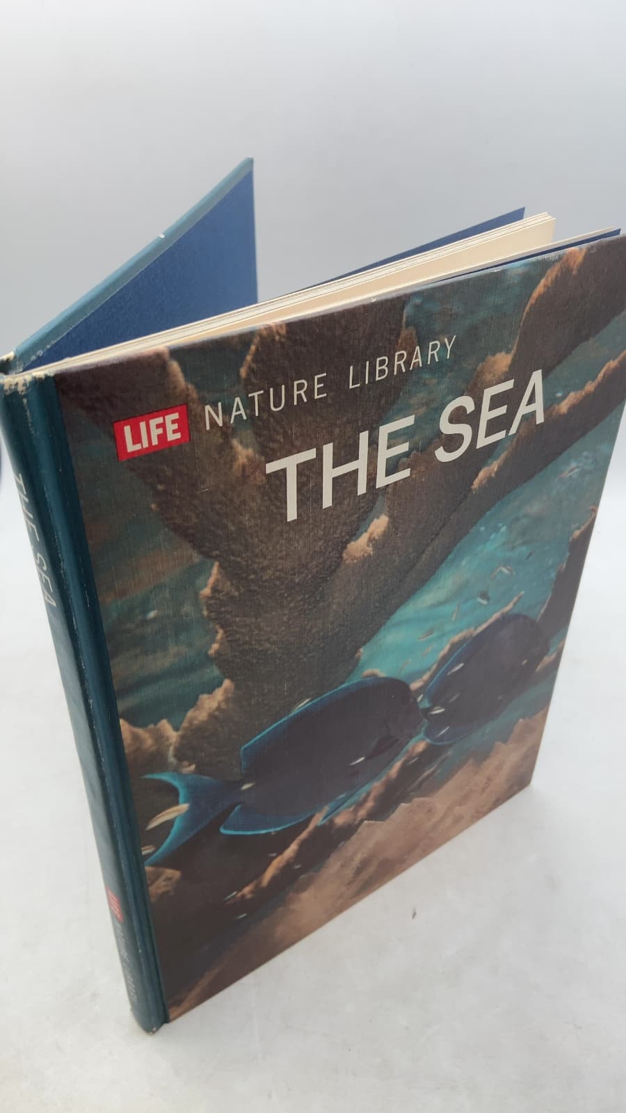 THE SEA