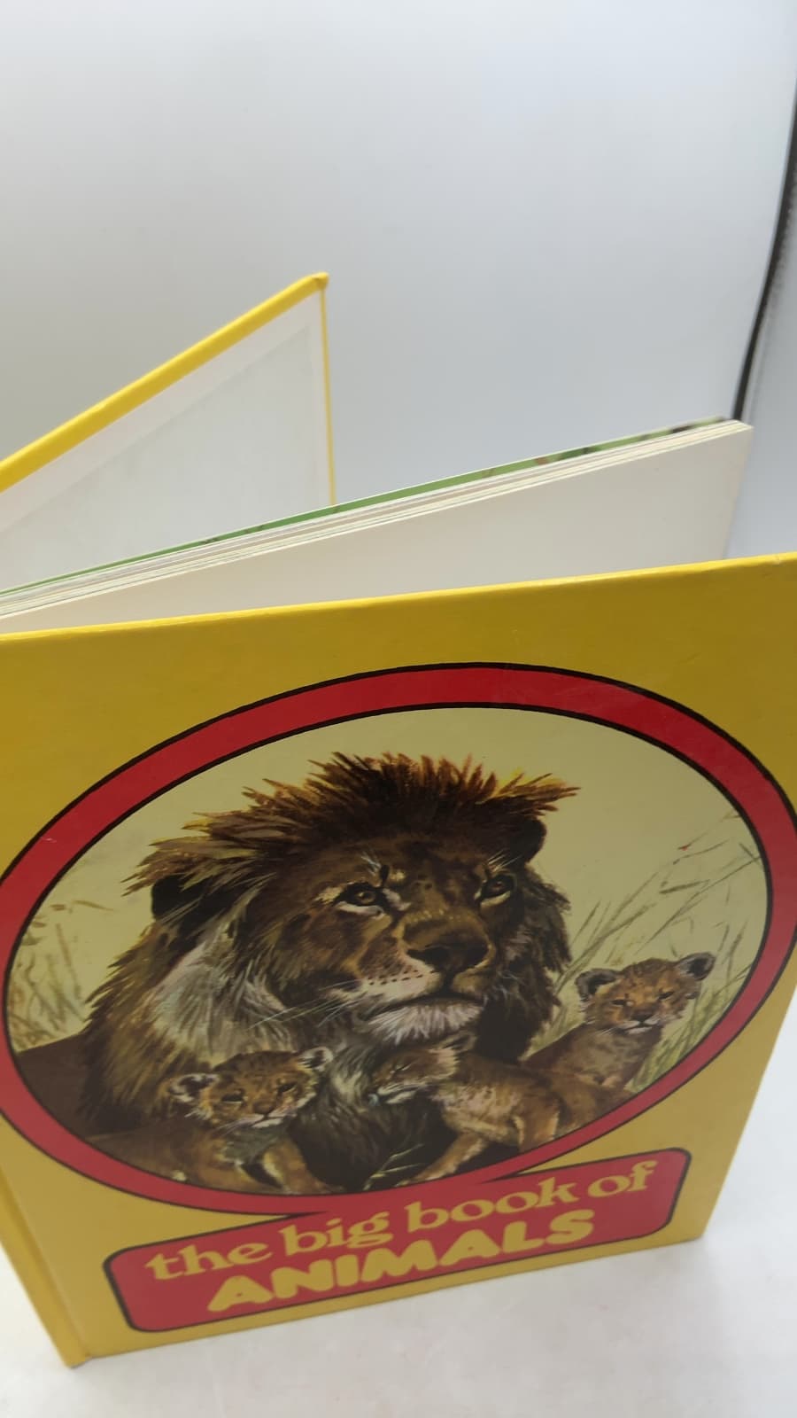 the big book of ANIMALS