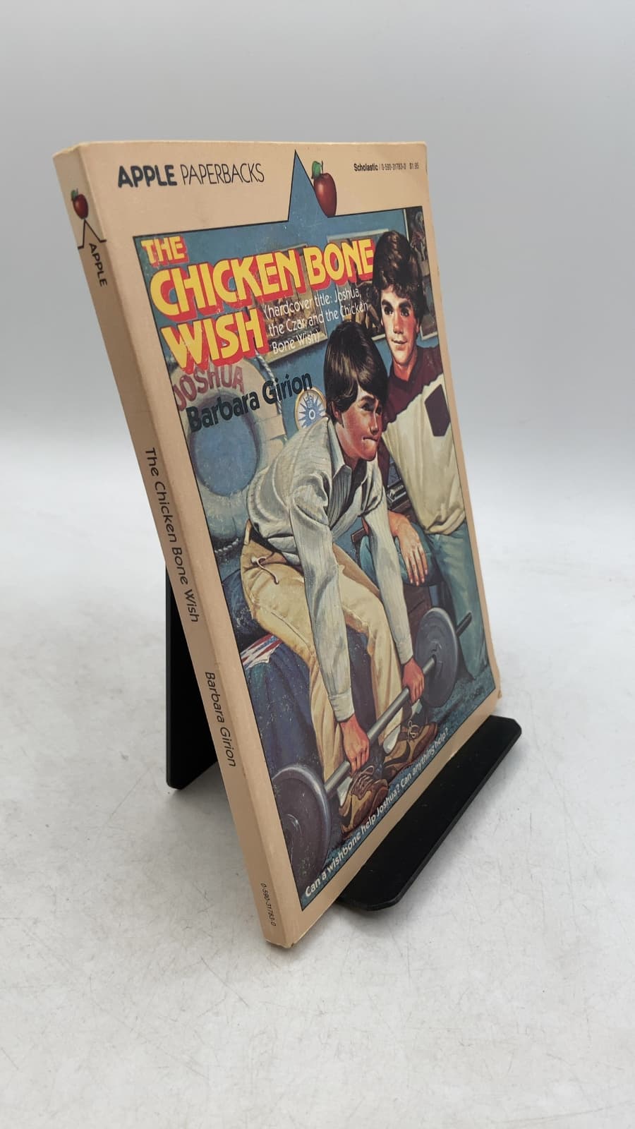 The Chicken Bone Wish by Barbara Girion - front cover