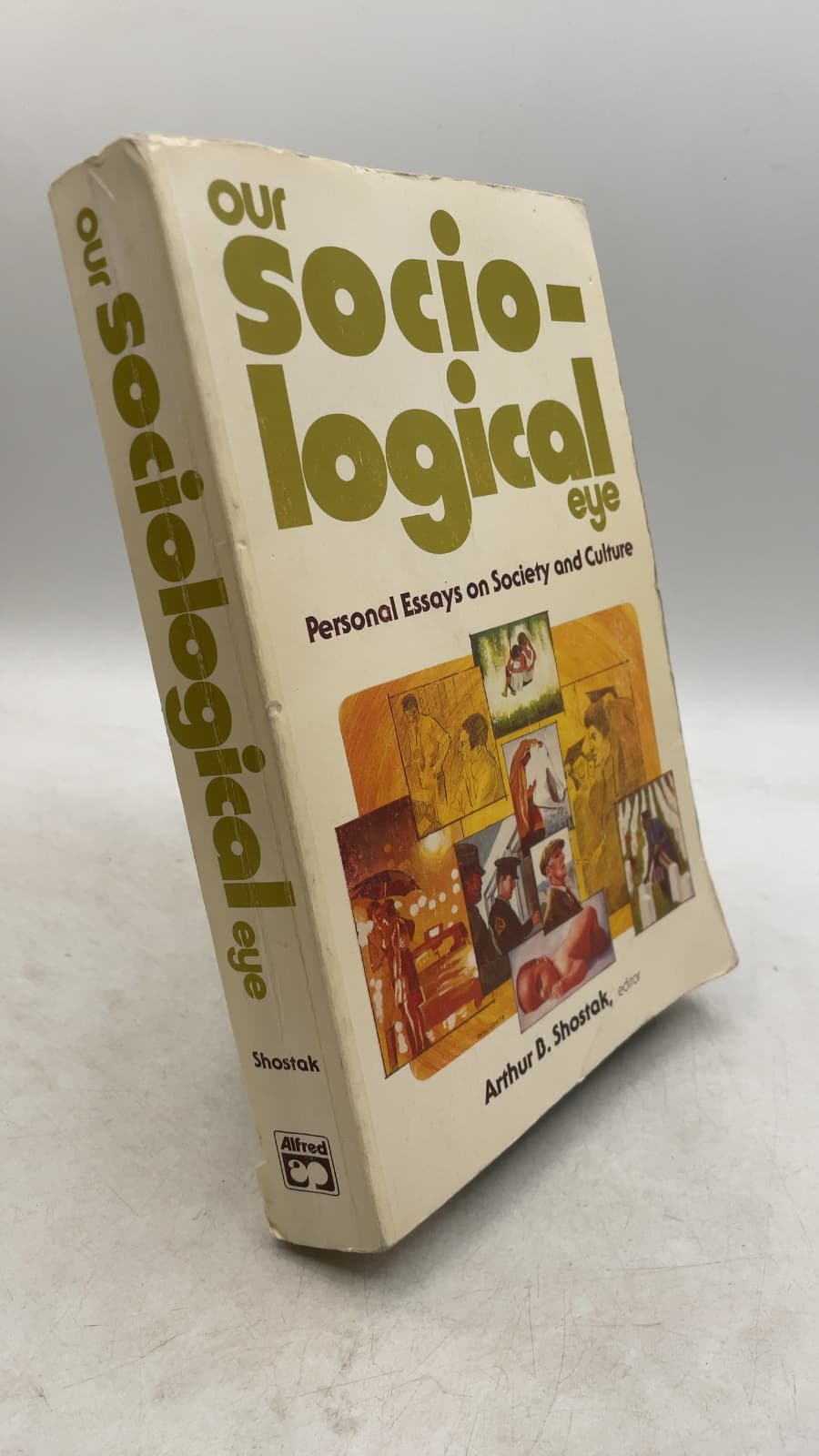 Our Sociological Eye: Personal Essays on Society and Culture