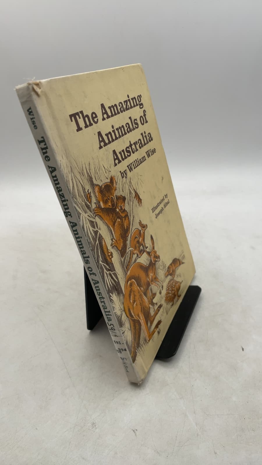 The Amazing Animals of Australia