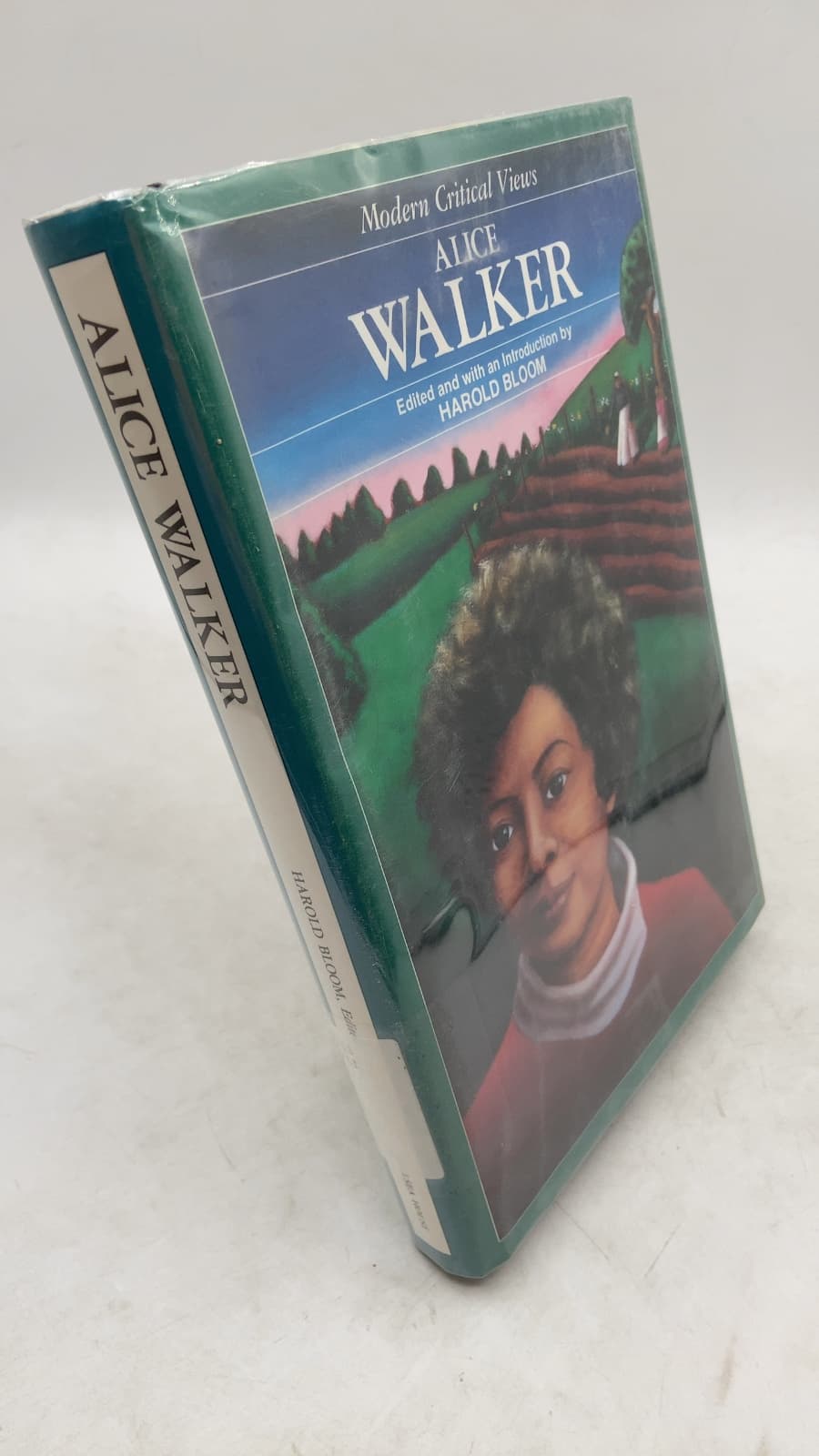 Alice Walker (Modern Critical Views) by Harold Bloom (Editor) - front cover