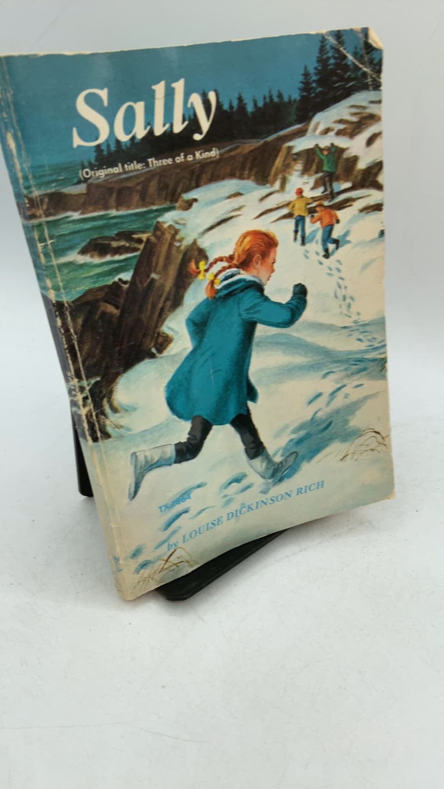 Sally (Original title: Three of a Kind) by Louise Dickinson Rich - front cover