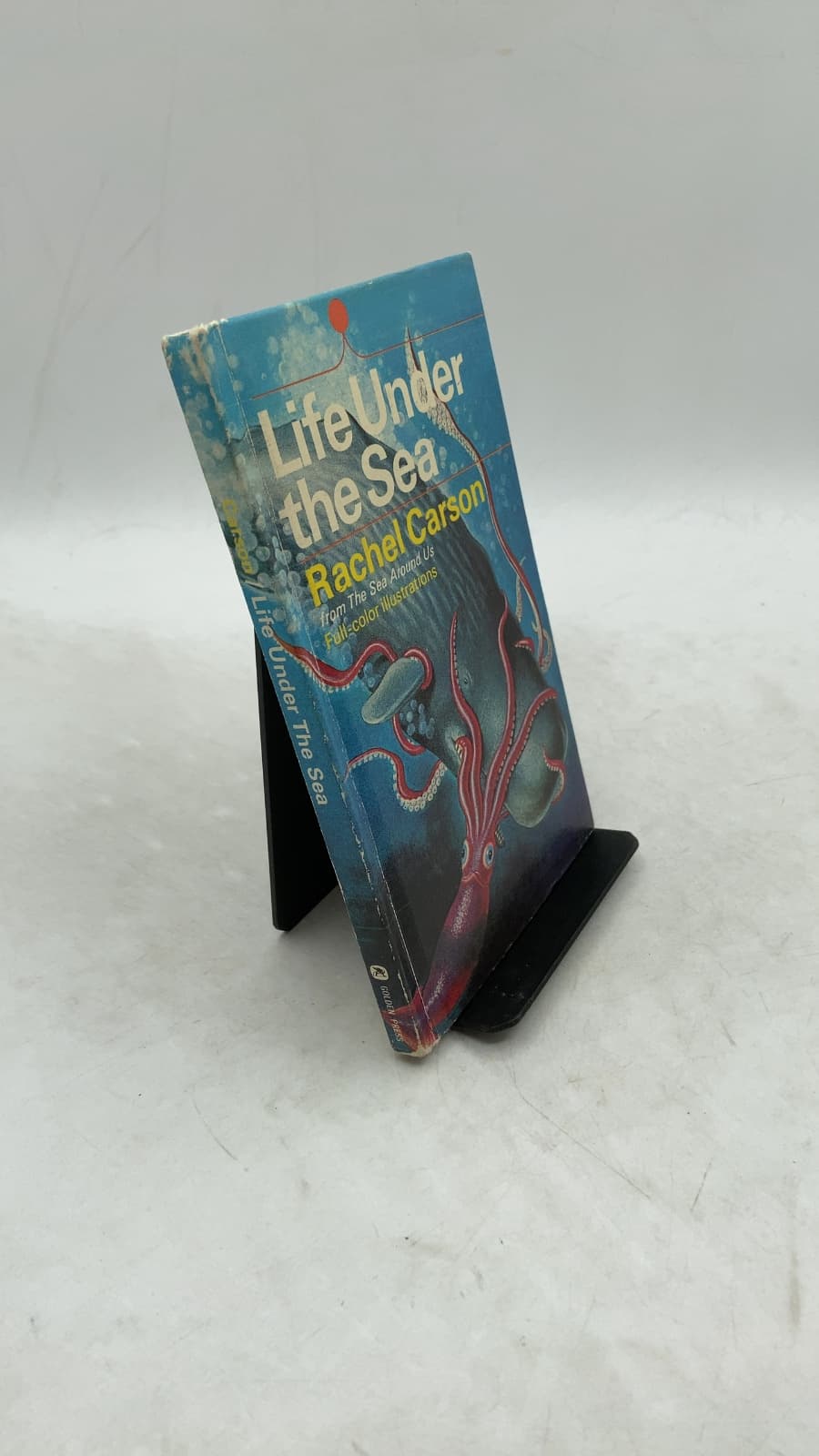 Life Under the Sea