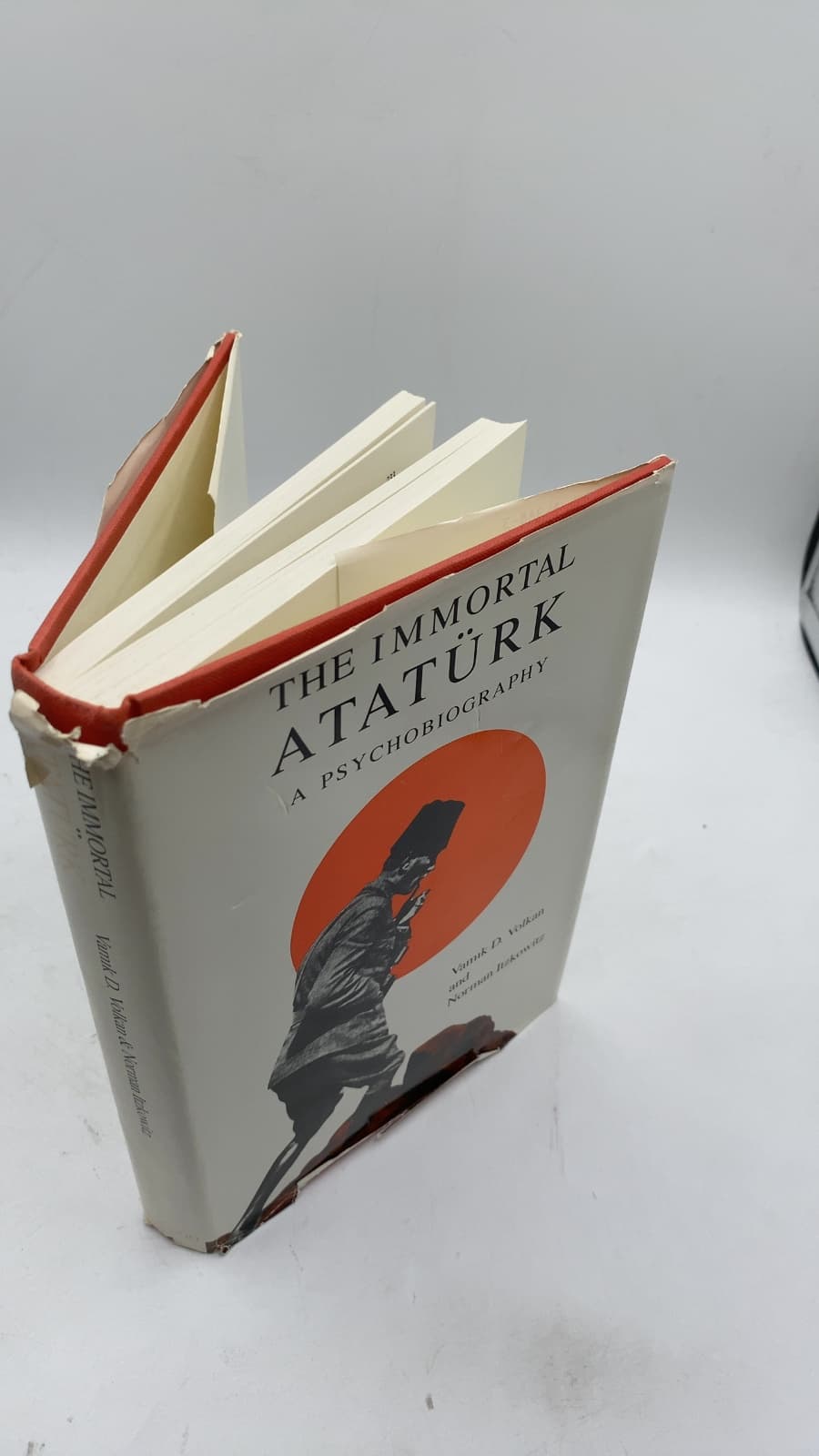 The Immortal Atatürk: A Psychobiography