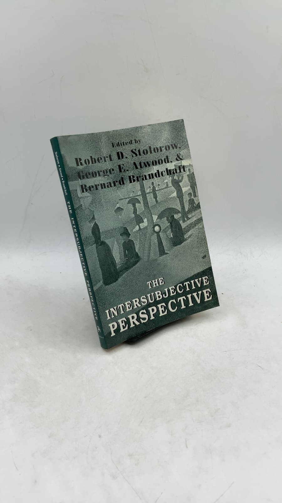 The Intersubjective Perspective by Robert D. Stolorow, George E. Atwood, Bernard Brandchaft - front cover