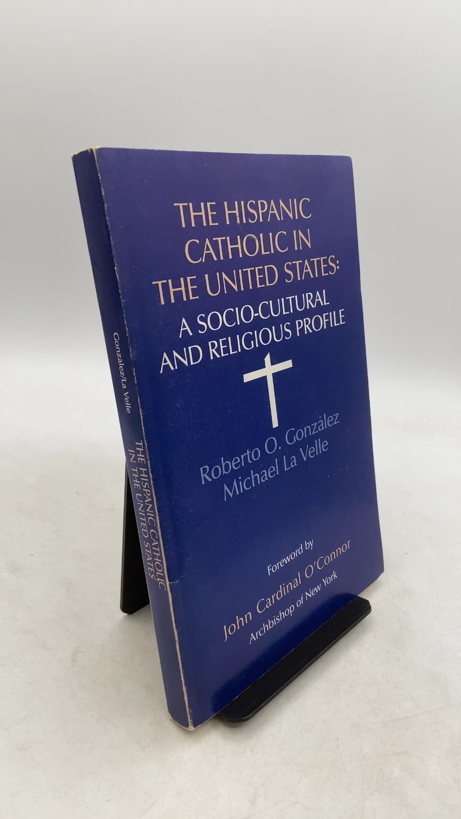 THE Hispanic Catholic IN THE United States: A Socio-Cultural AND Religious Profile by Roberto O. González, O.F.M., Michael J. LaVelle, Ph.D. - front cover