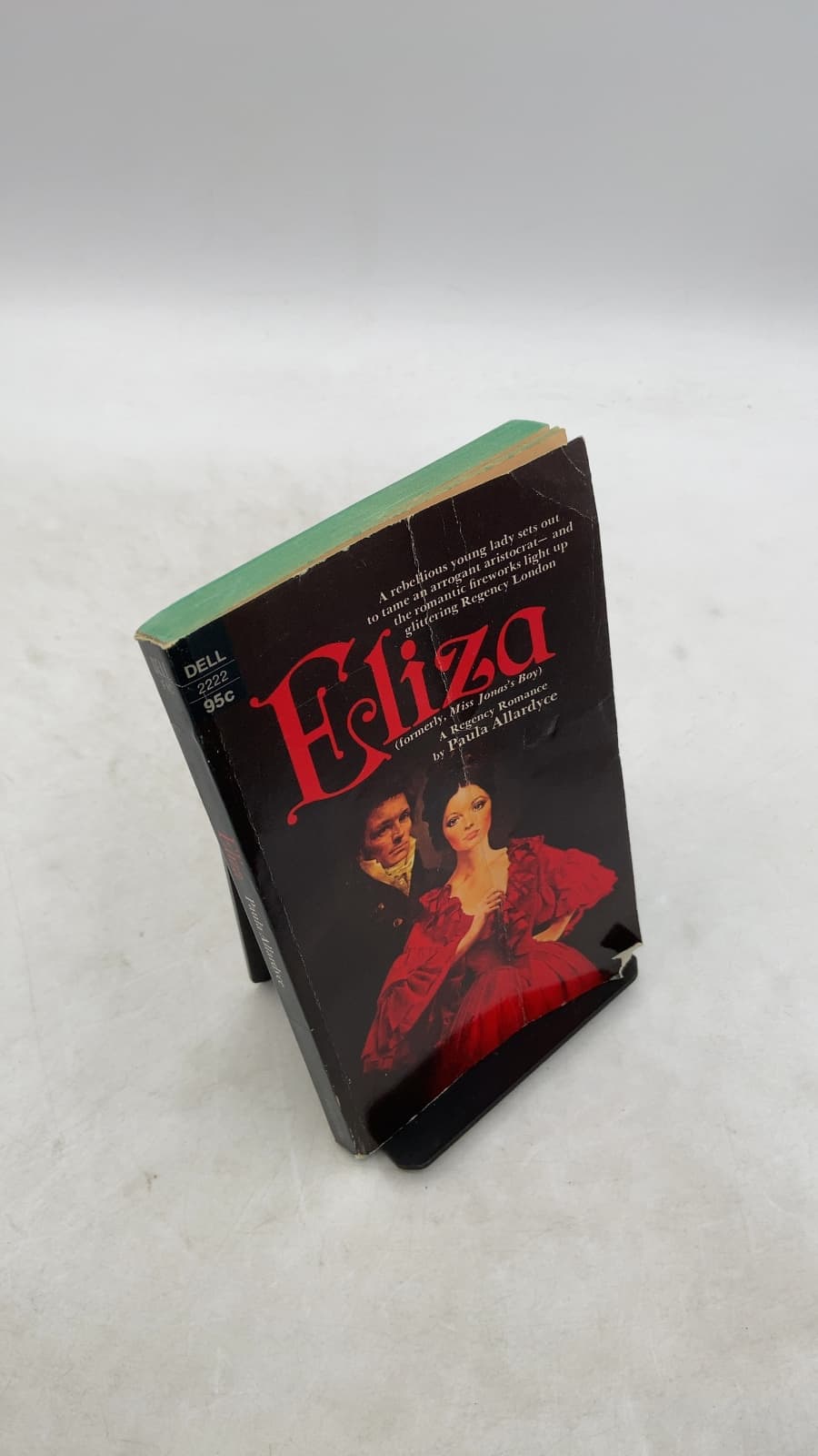 Eliza by Paula Allardyce - front cover