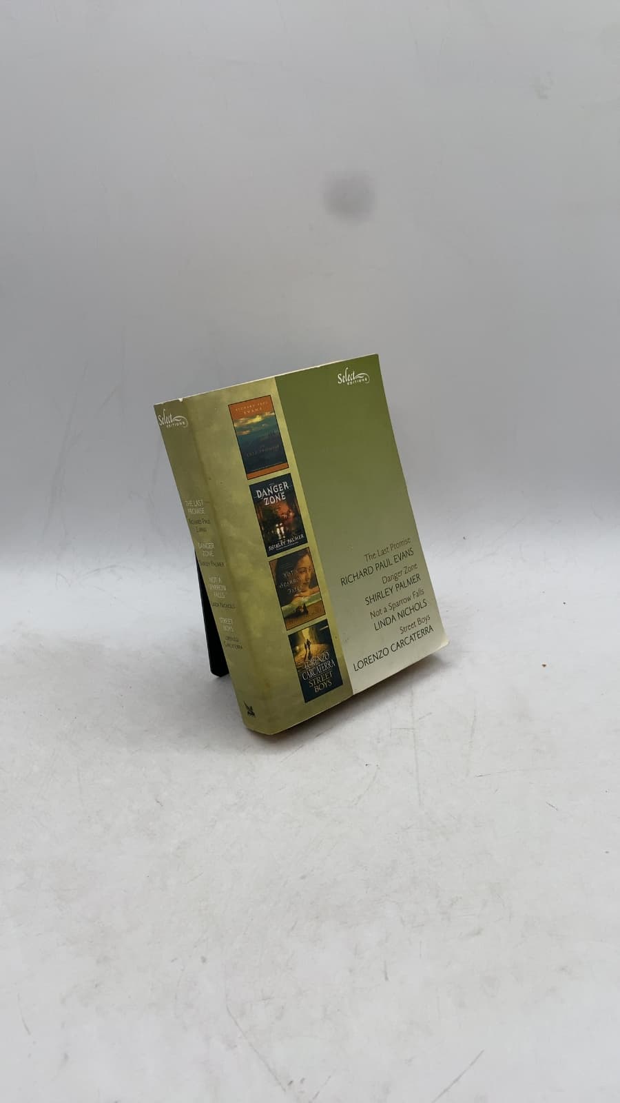 The Last Promise by Richard Paul Evans; Shirley Palmer; Linda Nichols; Lorenzo Carcaterra - front cover