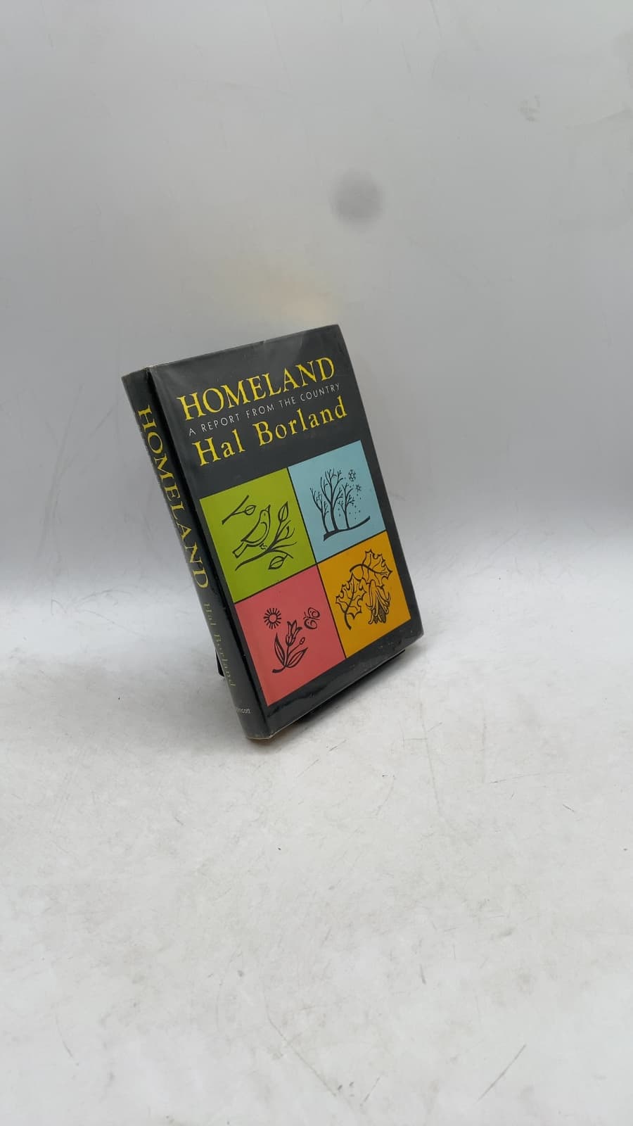 Homeland: A Report from the Country