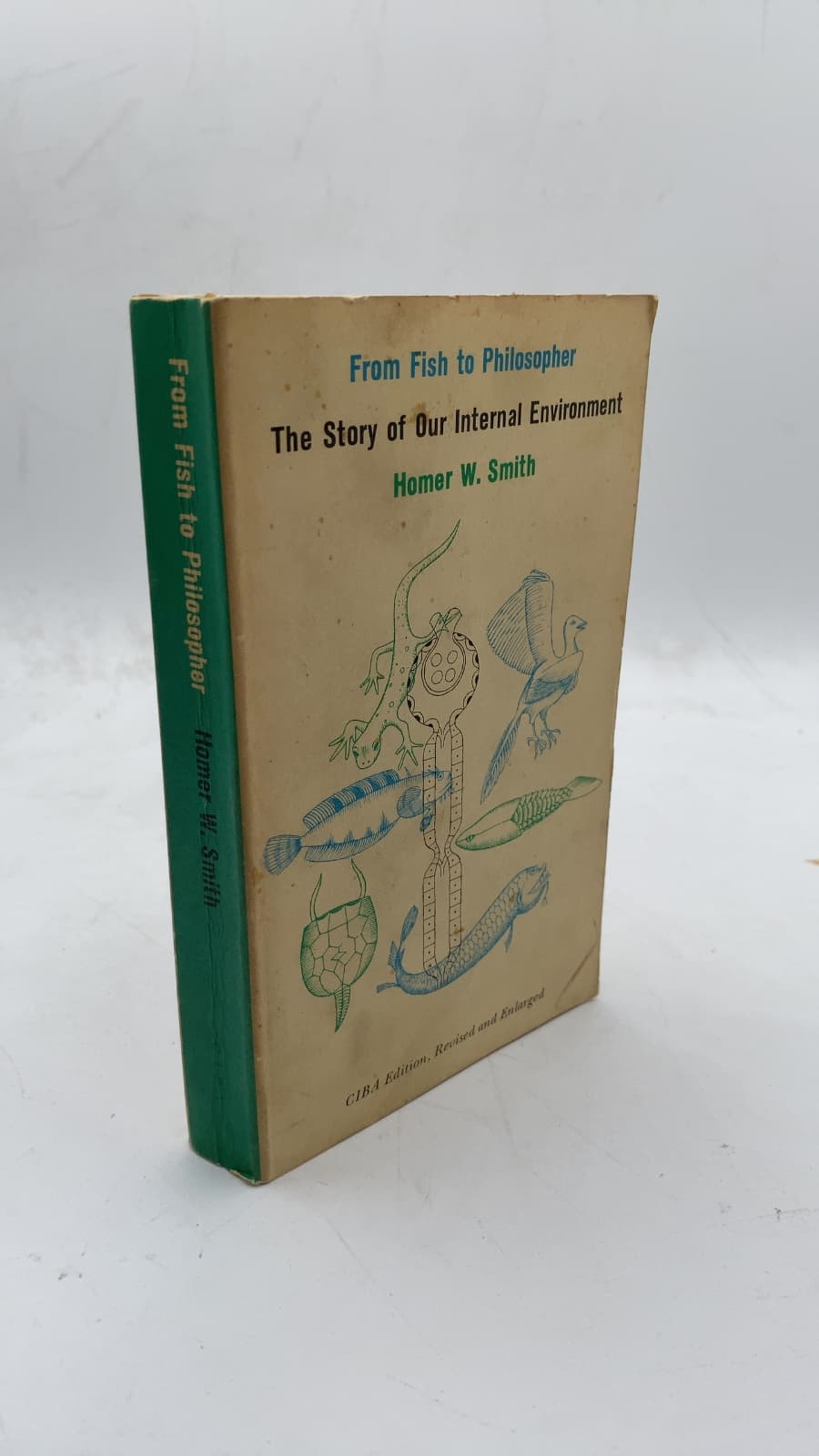 From Fish to Philosopher: The Story of Our Internal Environment