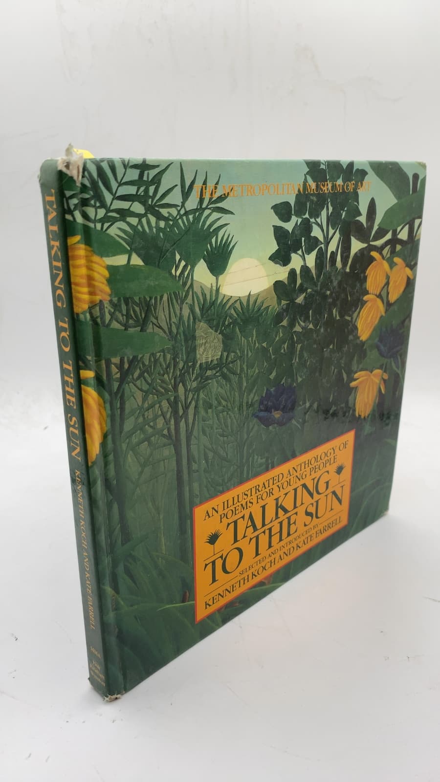 Talking to the Sun: An Illustrated Anthology of Poems for Young People
