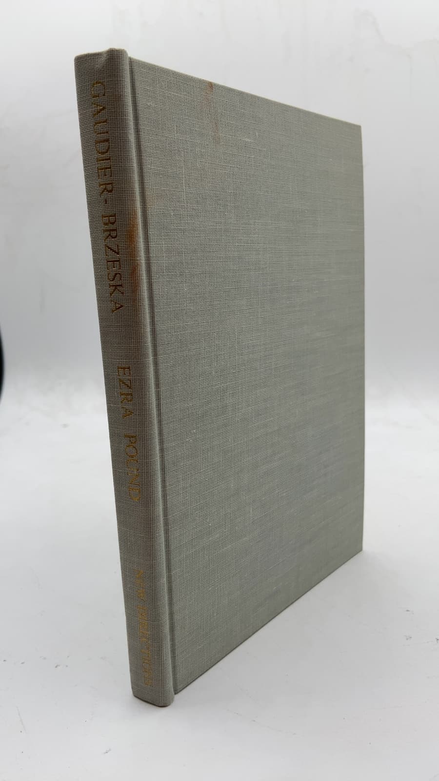 Gaudier-Brzeska A Memoir