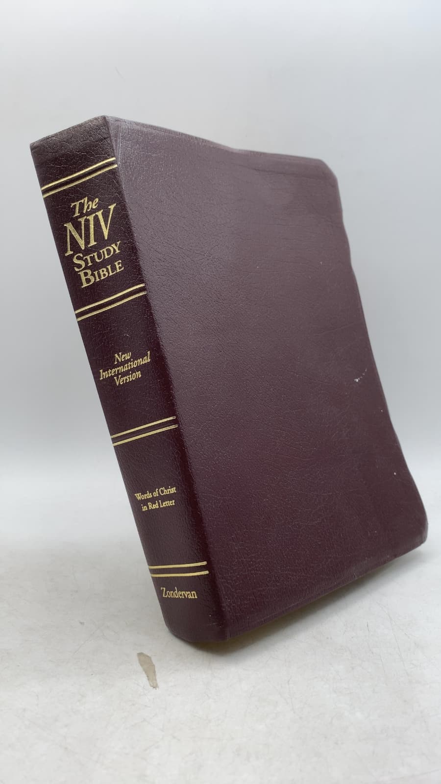 The NIV Study Bible