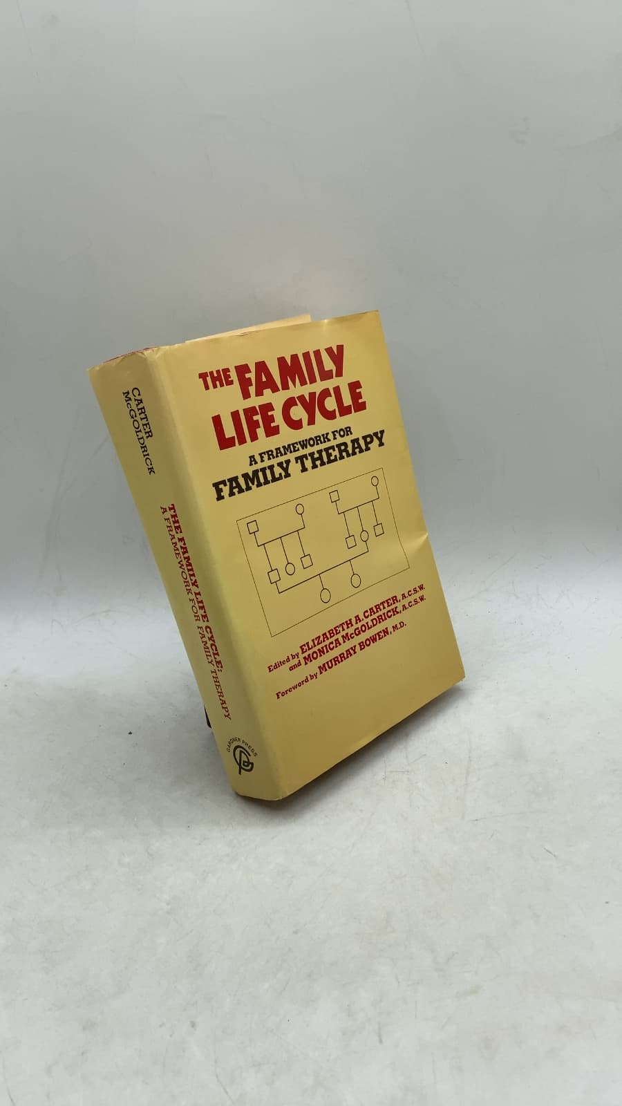 The Family Life Cycle: A Framework for Family Therapy by Elizabeth A. Carter, A.C.S.W., Monica McGoldrick, A.C.S.W. - front cover