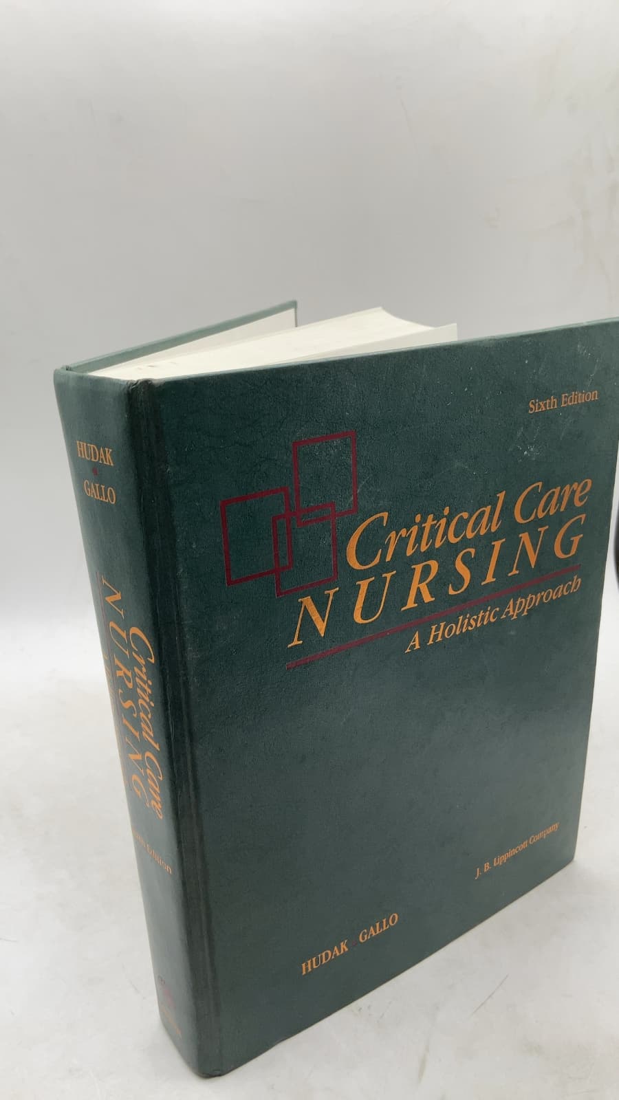Critical Care Nursing: A Holistic Approach