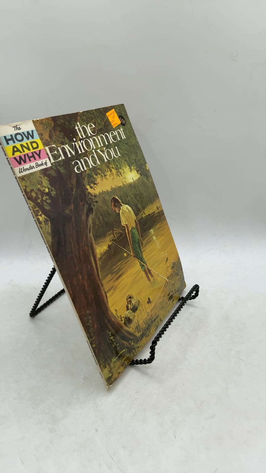 The Environment and You by Matthew J. Brennan - front cover