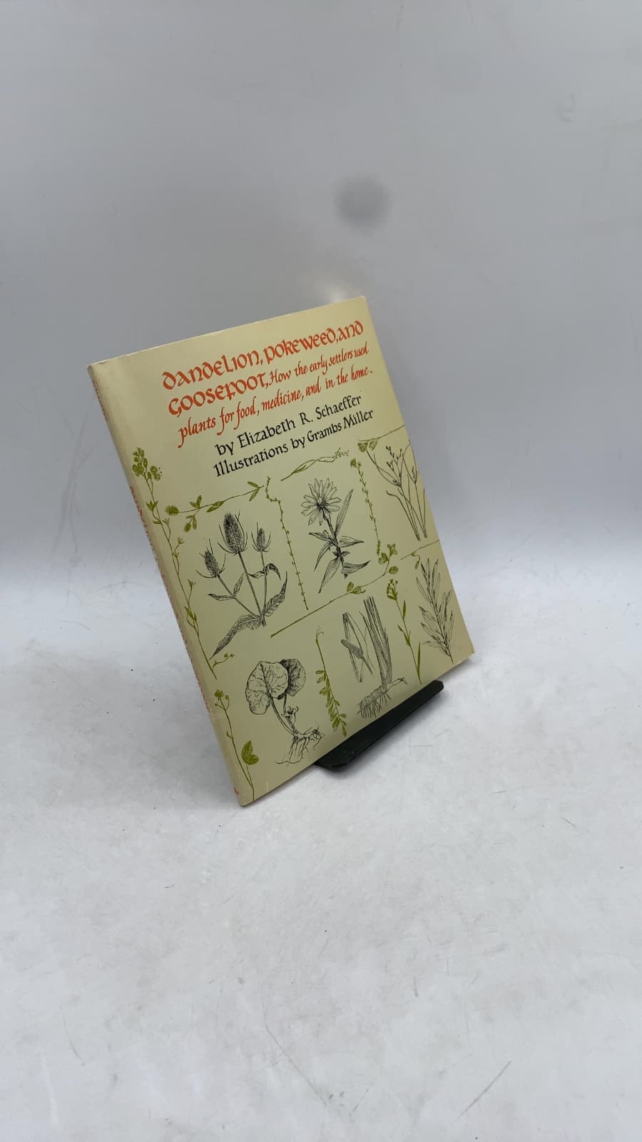 Dandelion, Pokeweed, and Goosefoot: How the early settlers used plants for food, medicine, and in the home by Elizabeth R. Schaeffer - front cover
