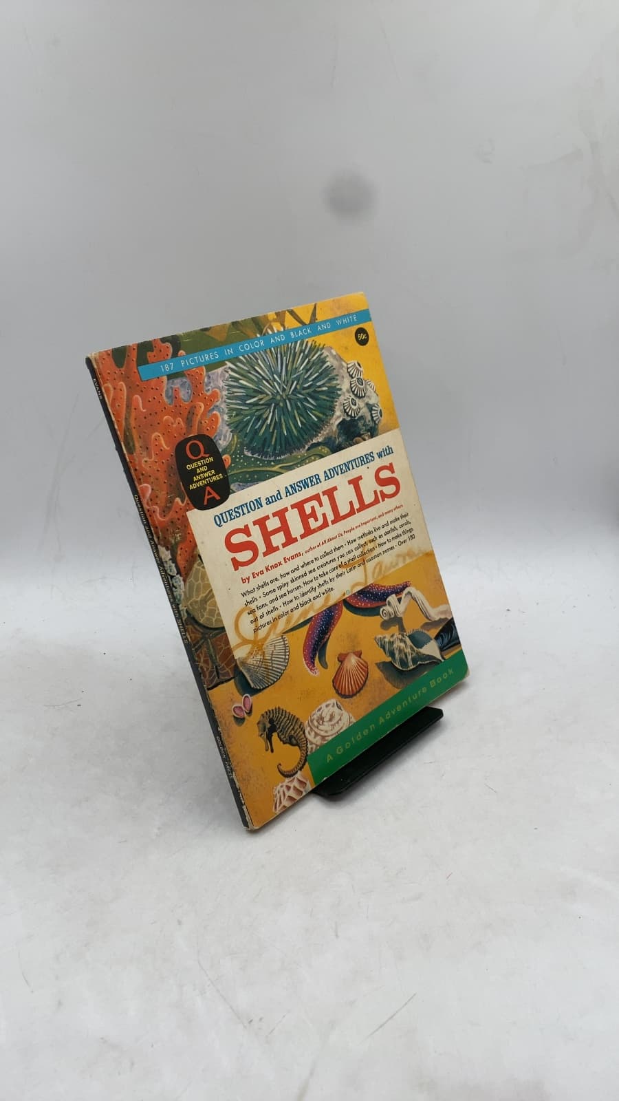 Question and Answer Adventures with Shells