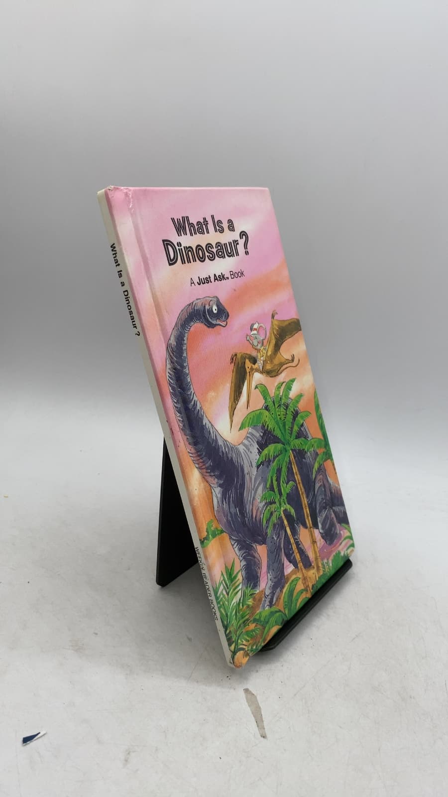 What Is a Dinosaur?