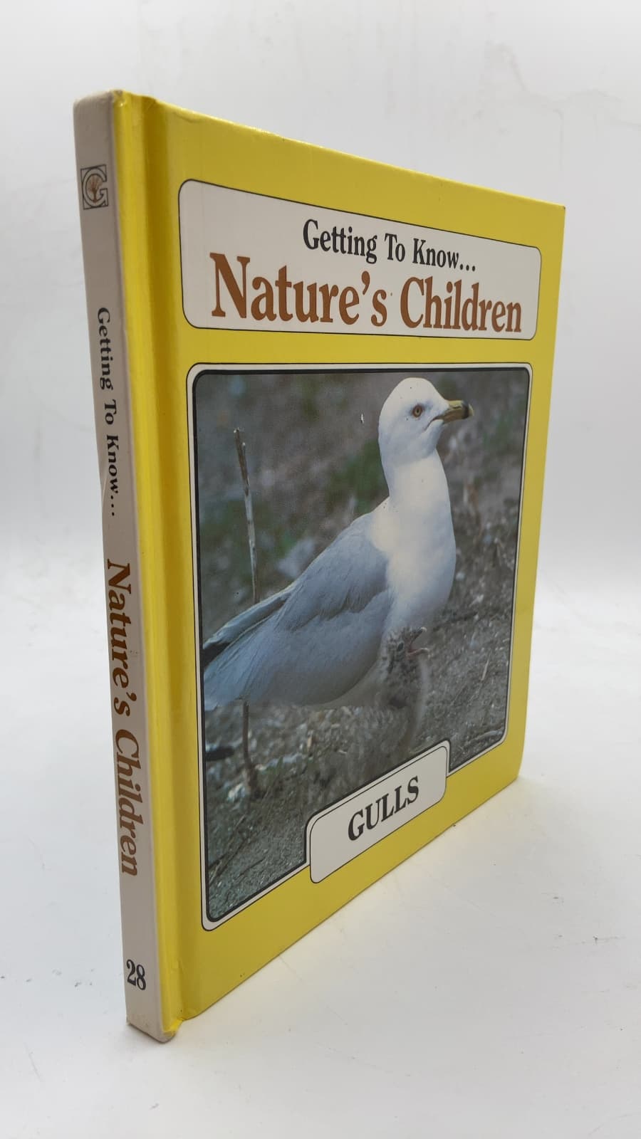 Getting To Know... Nature's Children: Gulls
