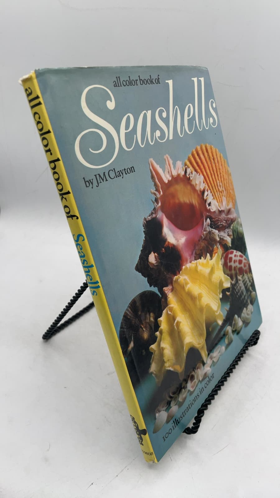 all color book of Seashells
