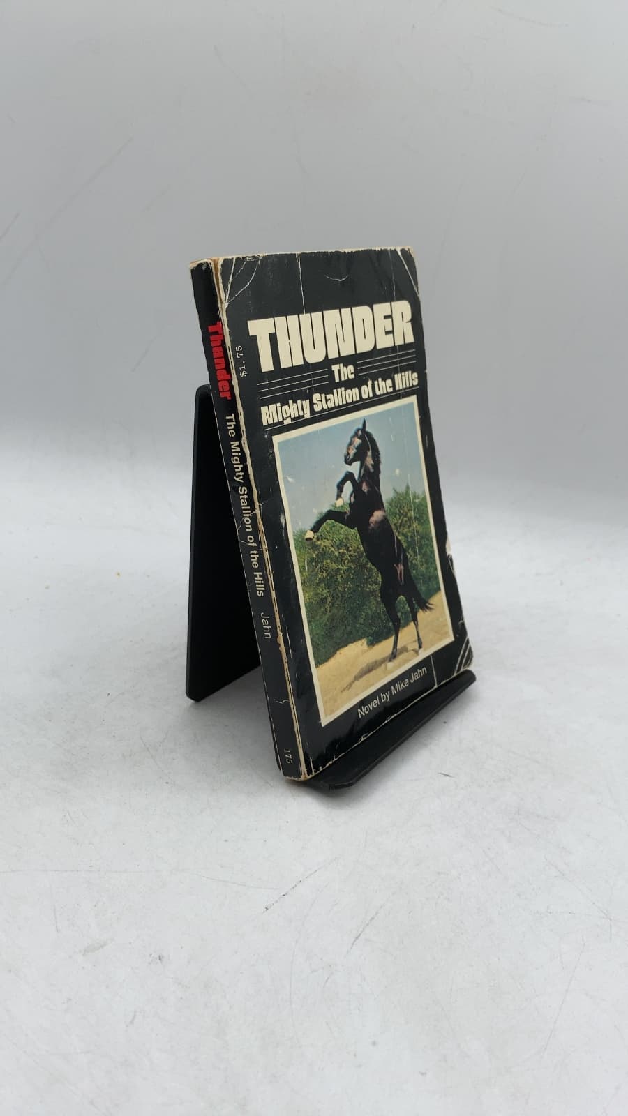 Thunder: The Mighty Stallion of the Hills
