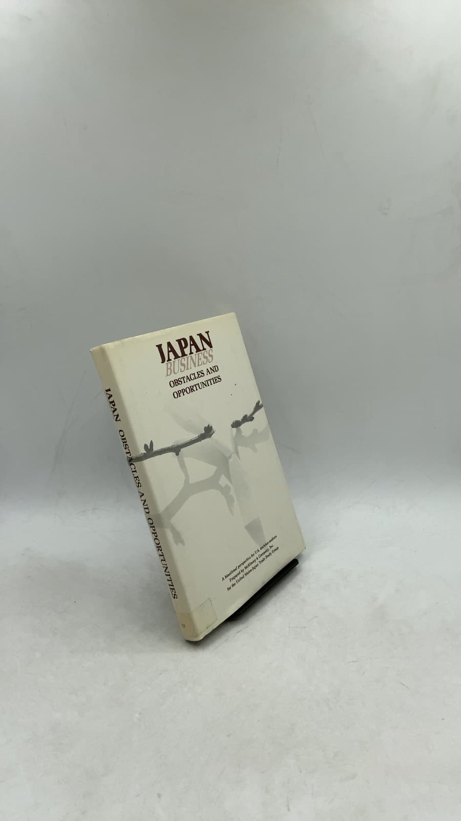 Japan Business Obstacles AND Opportunities