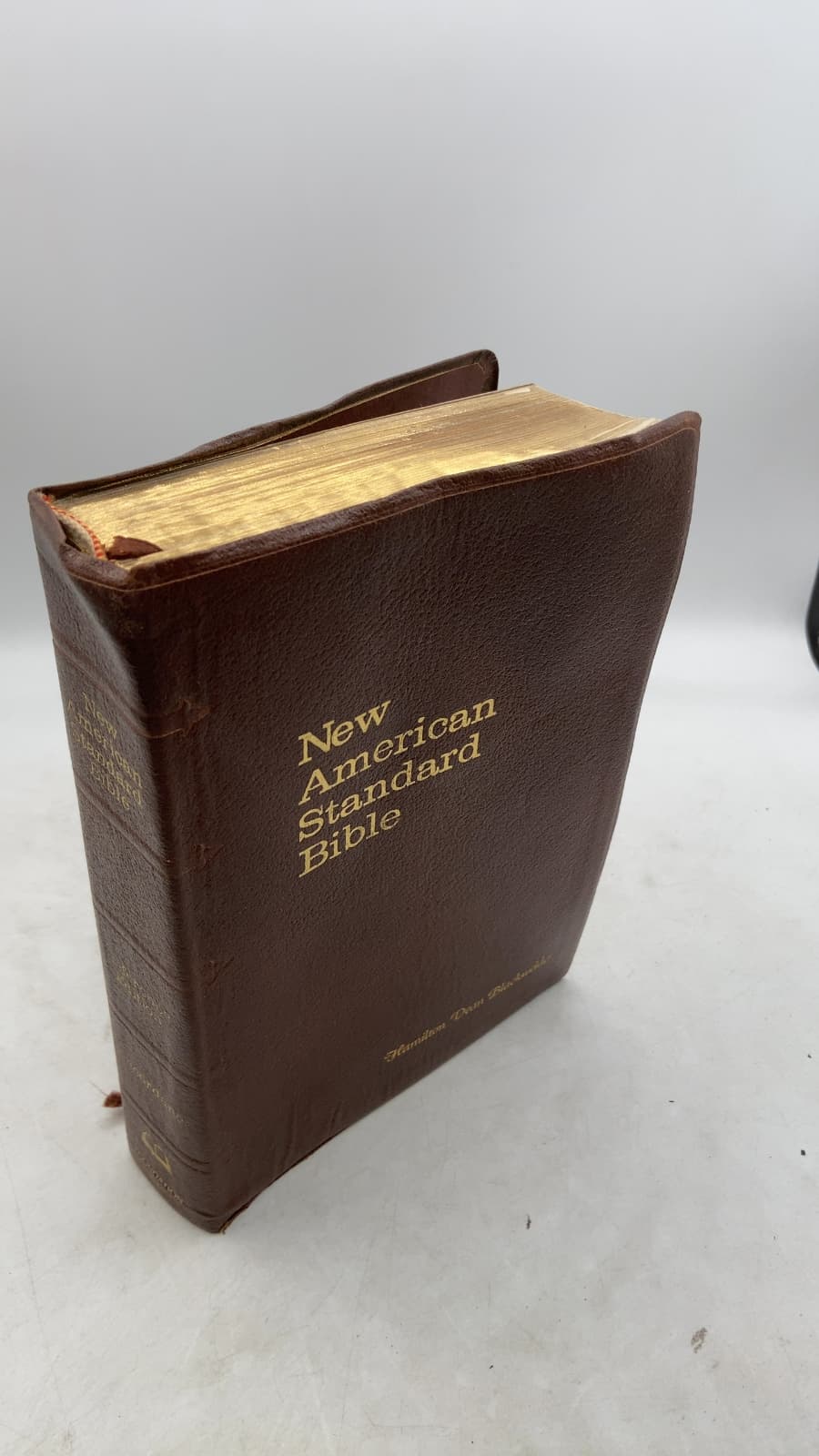 New American Standard Bible: Reference Edition