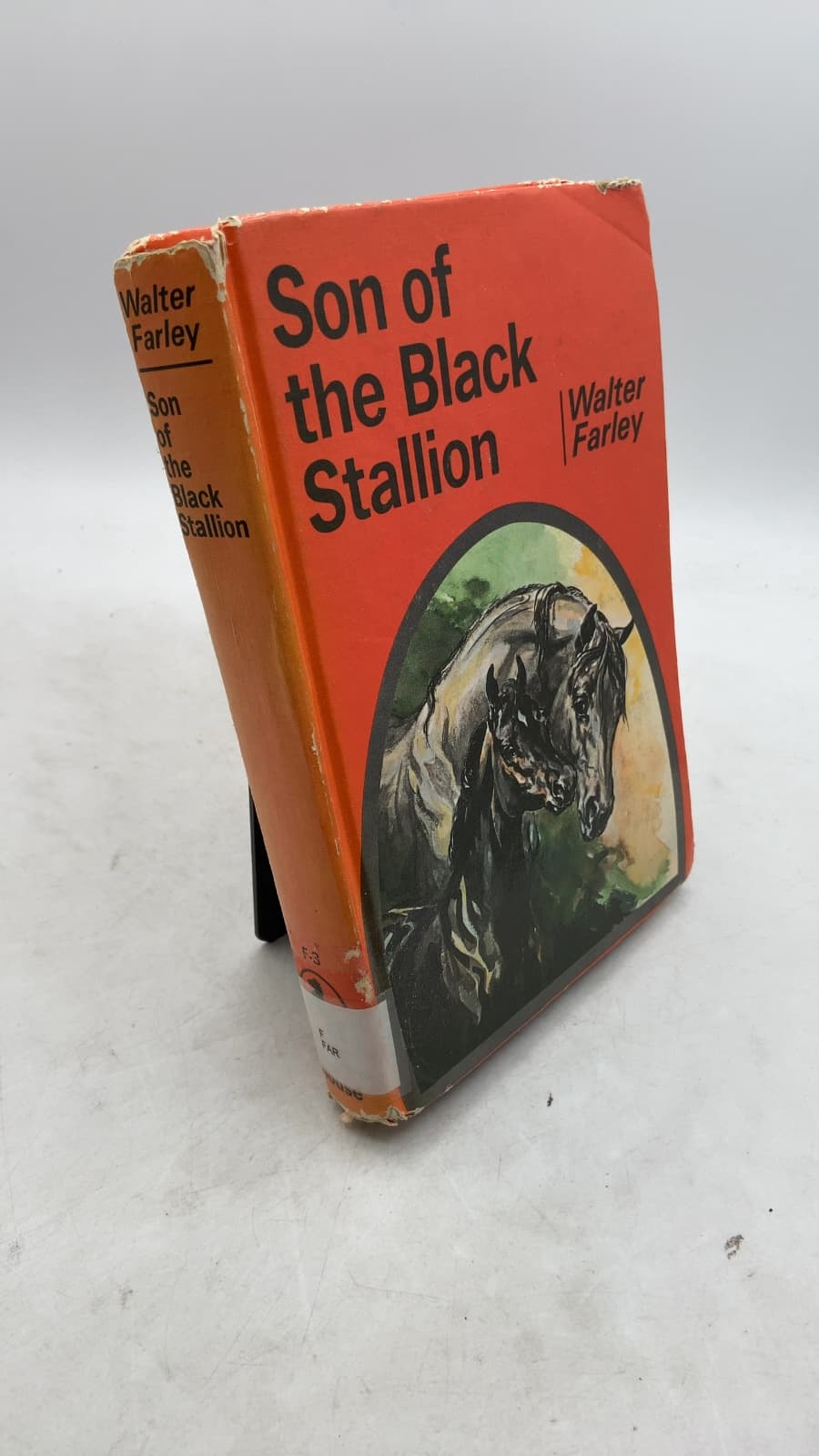 Son of the Black Stallion