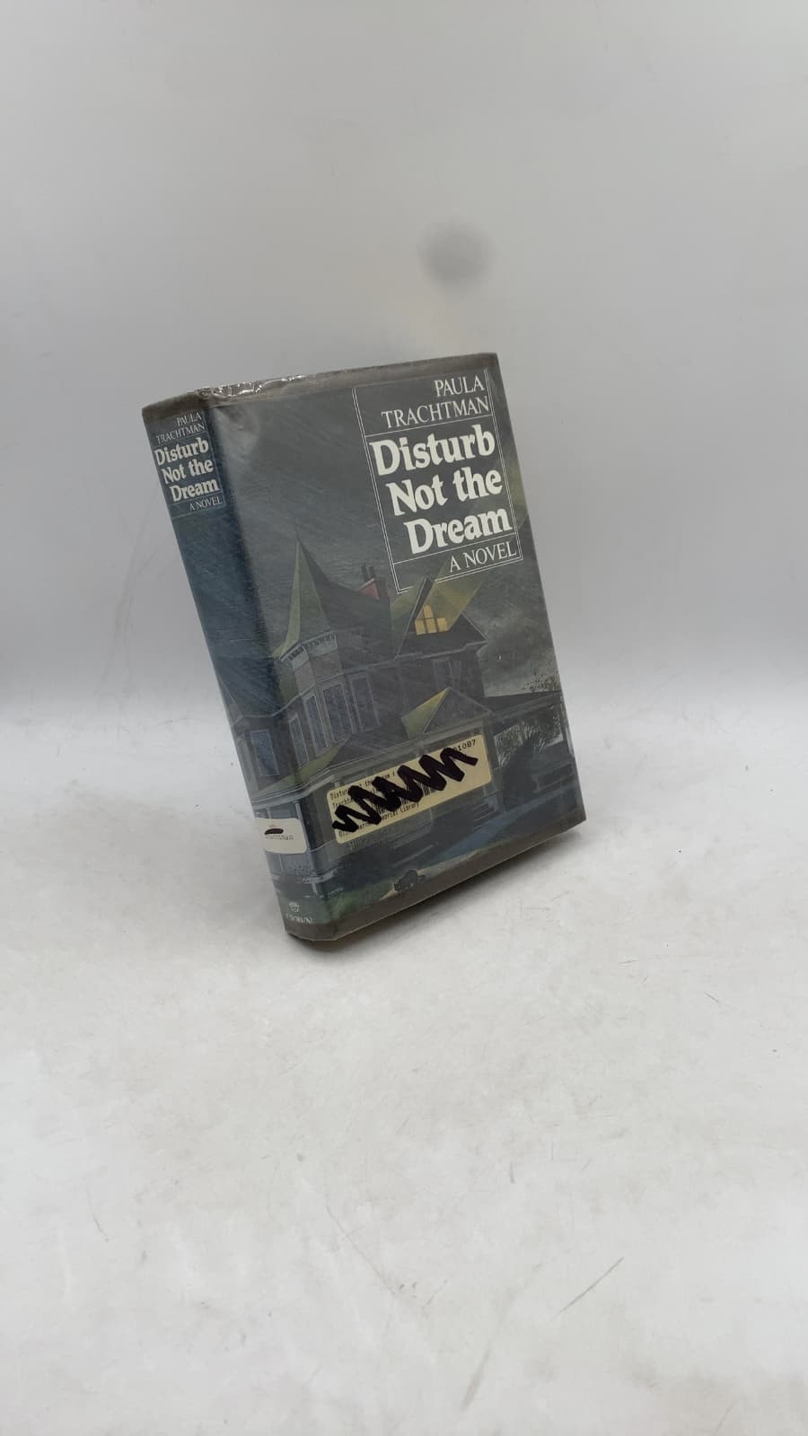 Disturb Not the Dream by Paula Trachtman - front cover