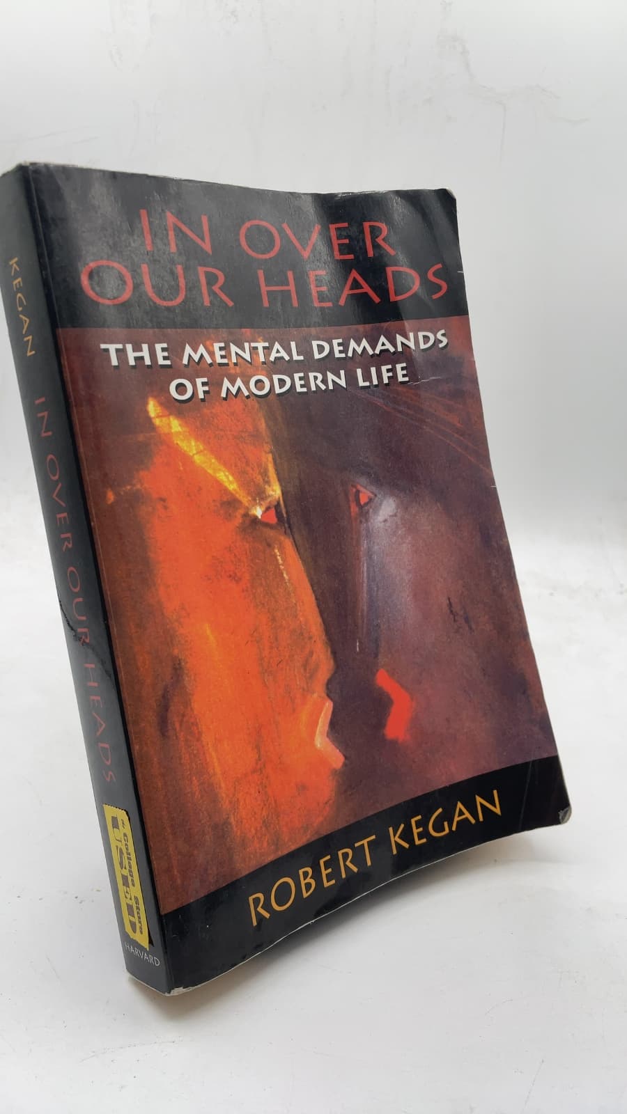 In Over Our Heads: The Mental Demands of Modern Life