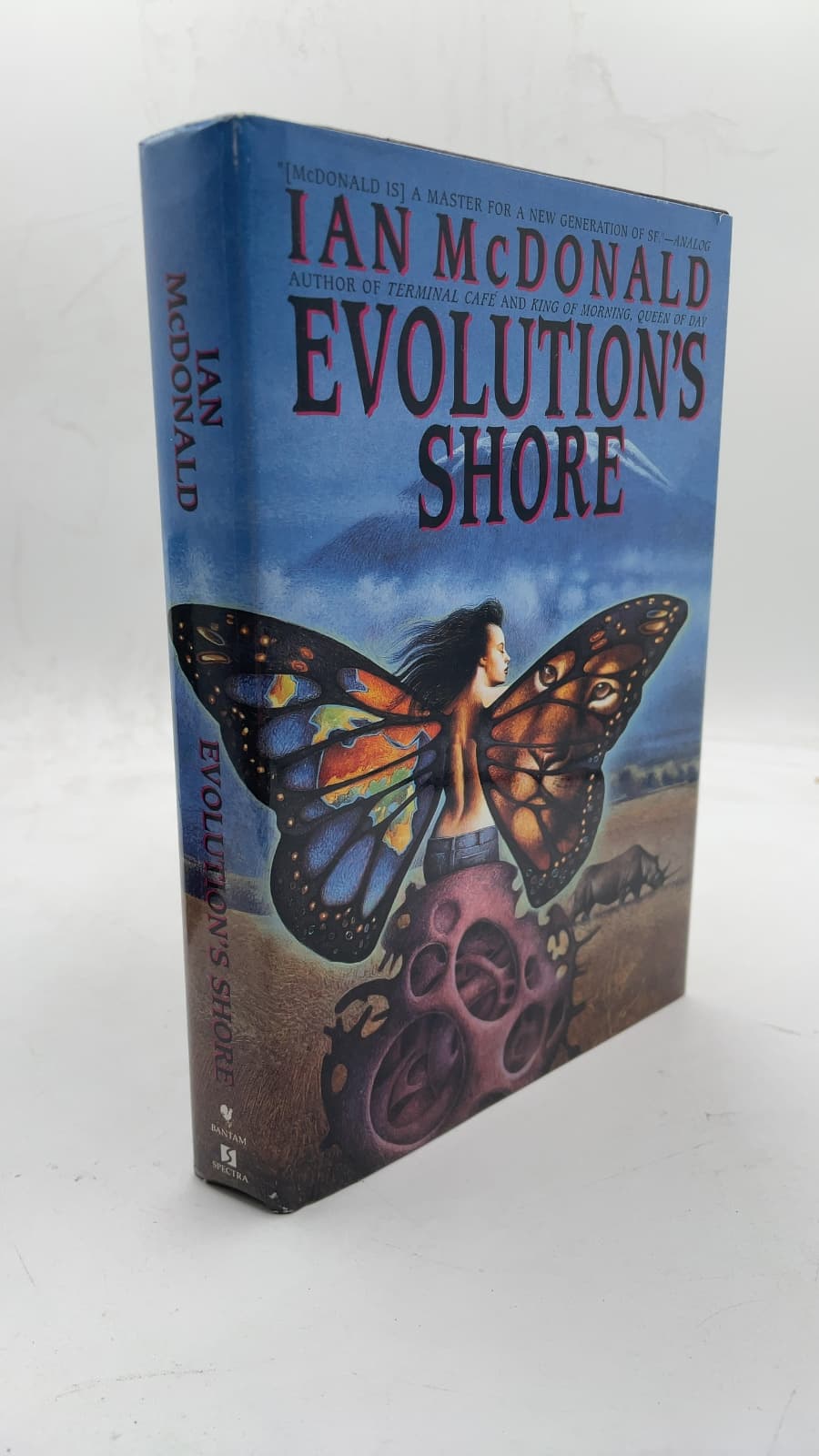 Evolution's Shore