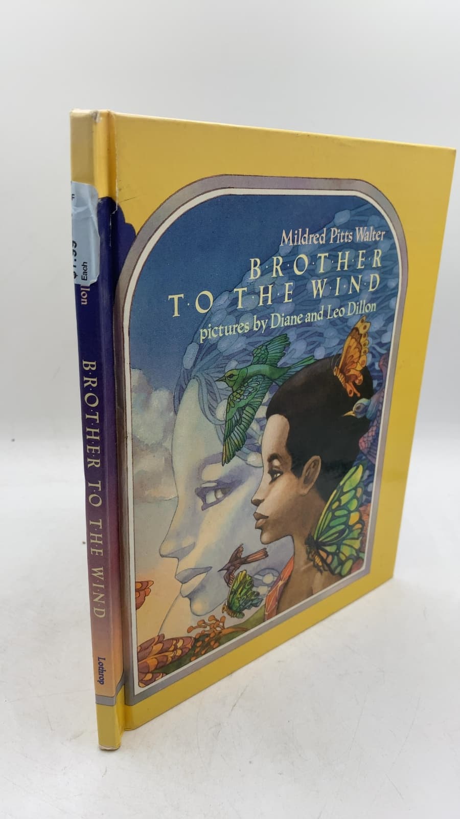 Brother to the Wind