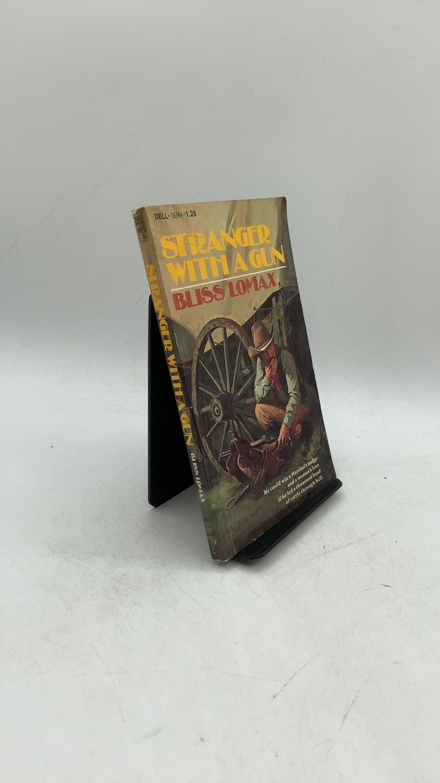Stranger With A GUN by Bliss Lomax - front cover