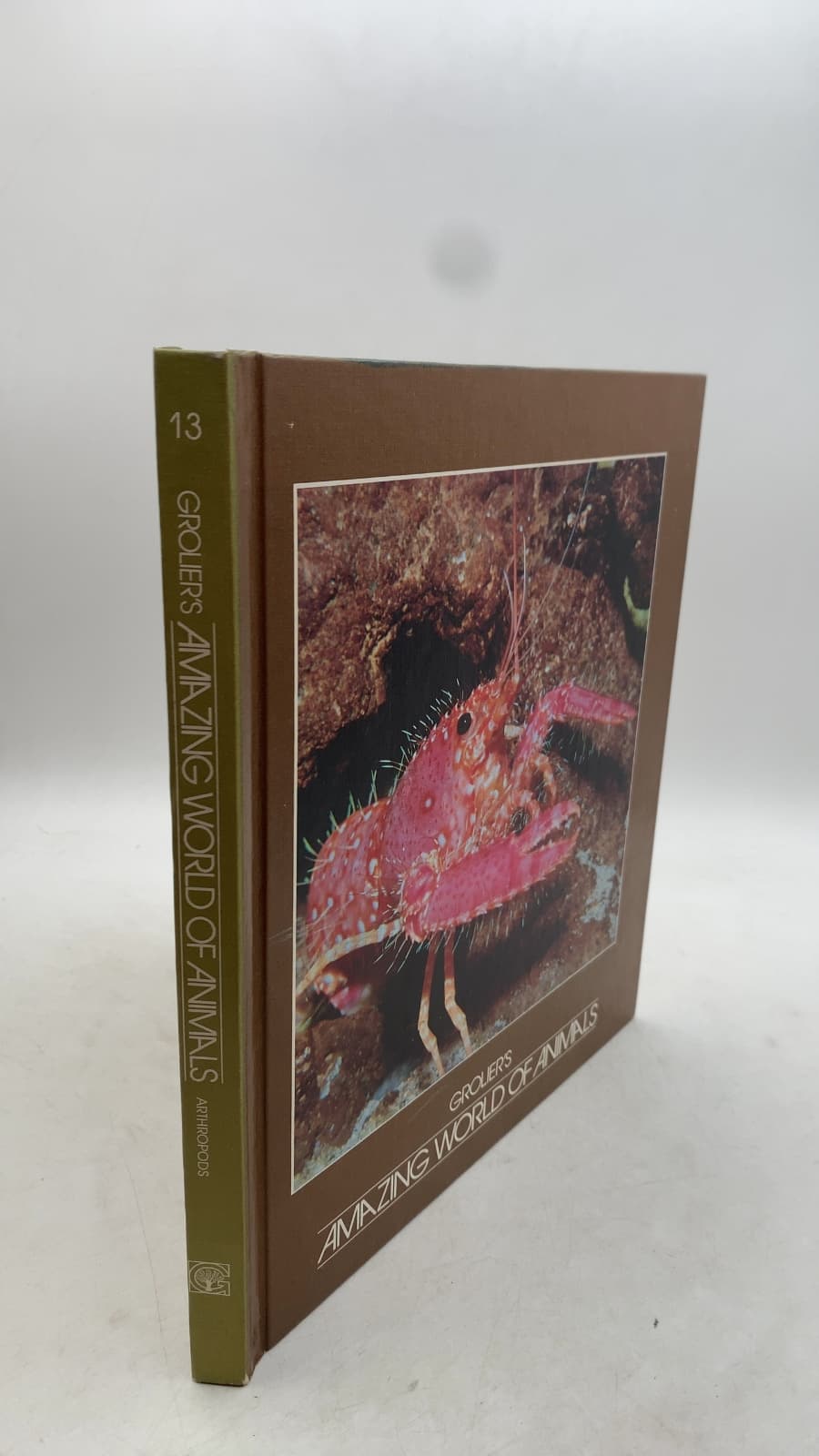 Grolier's Amazing World of Animals: Arthropods