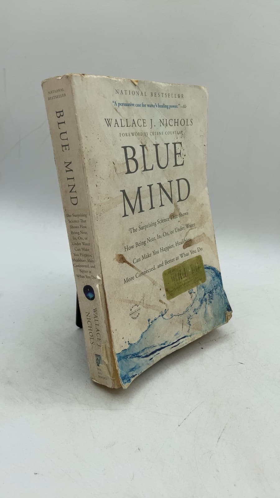 Blue Mind: The Surprising Science That Shows How Being Near, In, On, or Under Water Can Make You Happier, Healthier, More Connected, and Better at What You Do