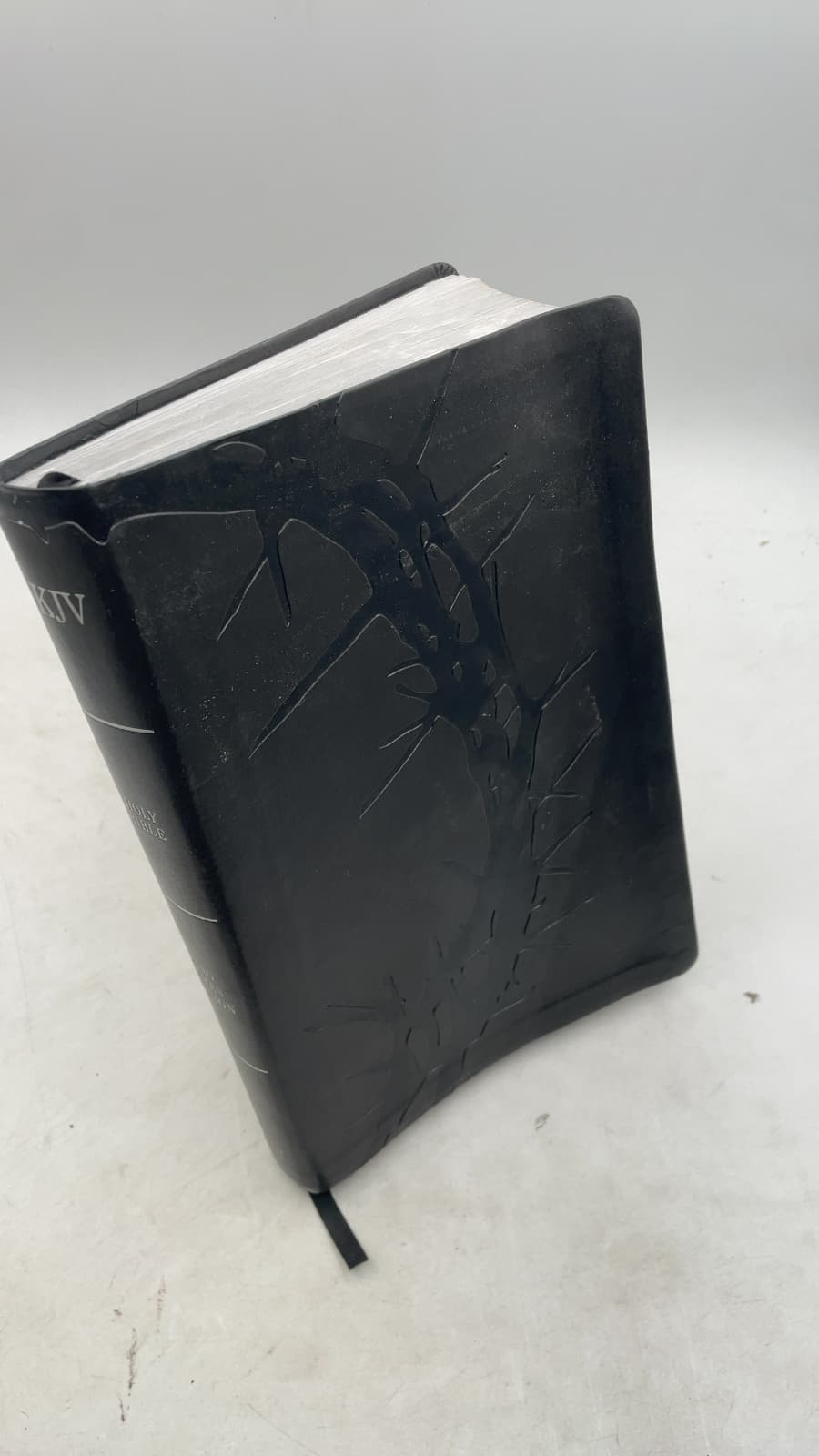 Holy Bible: THE OLD AND NEW Testaments