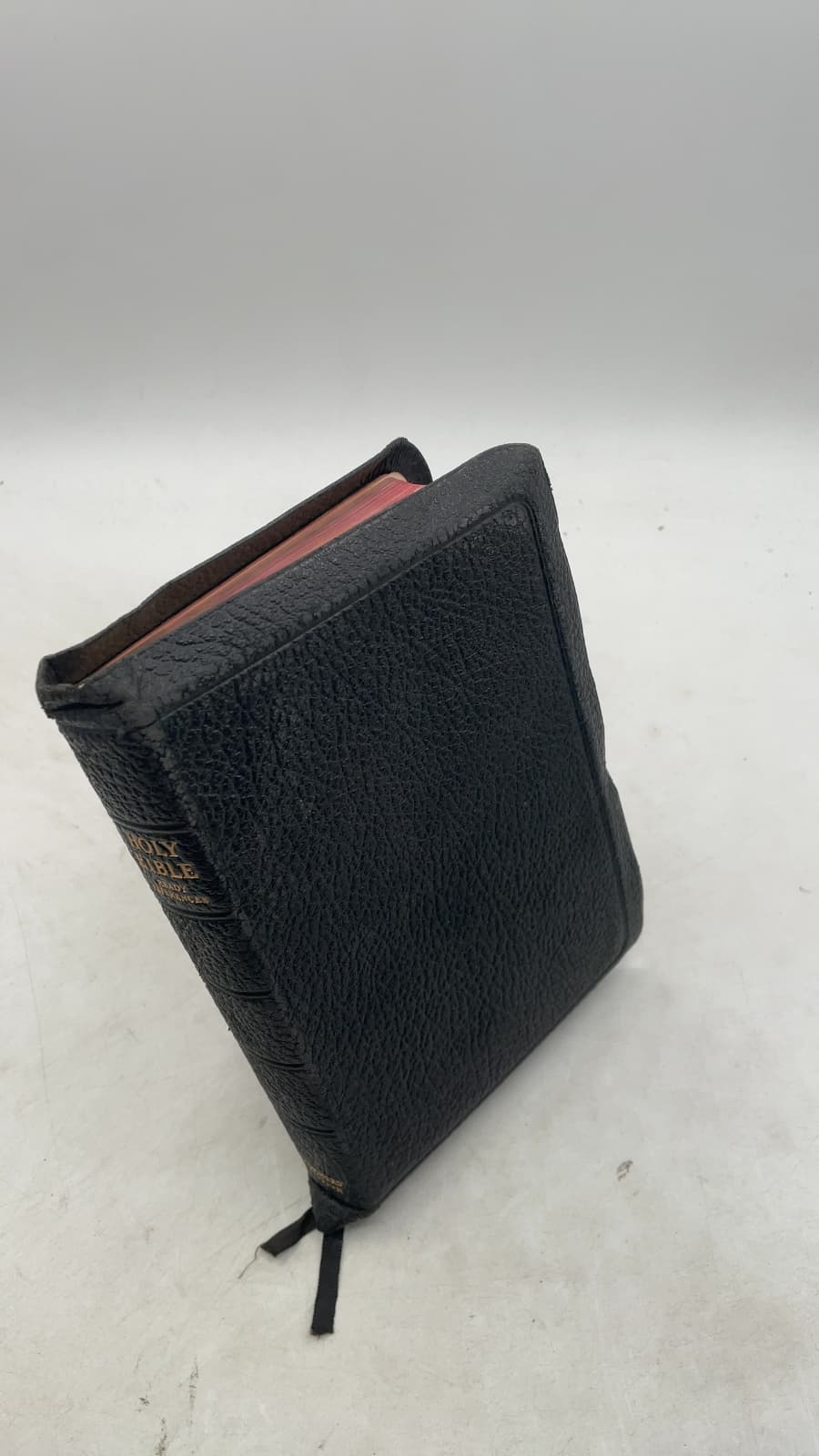 THE Holy Bible